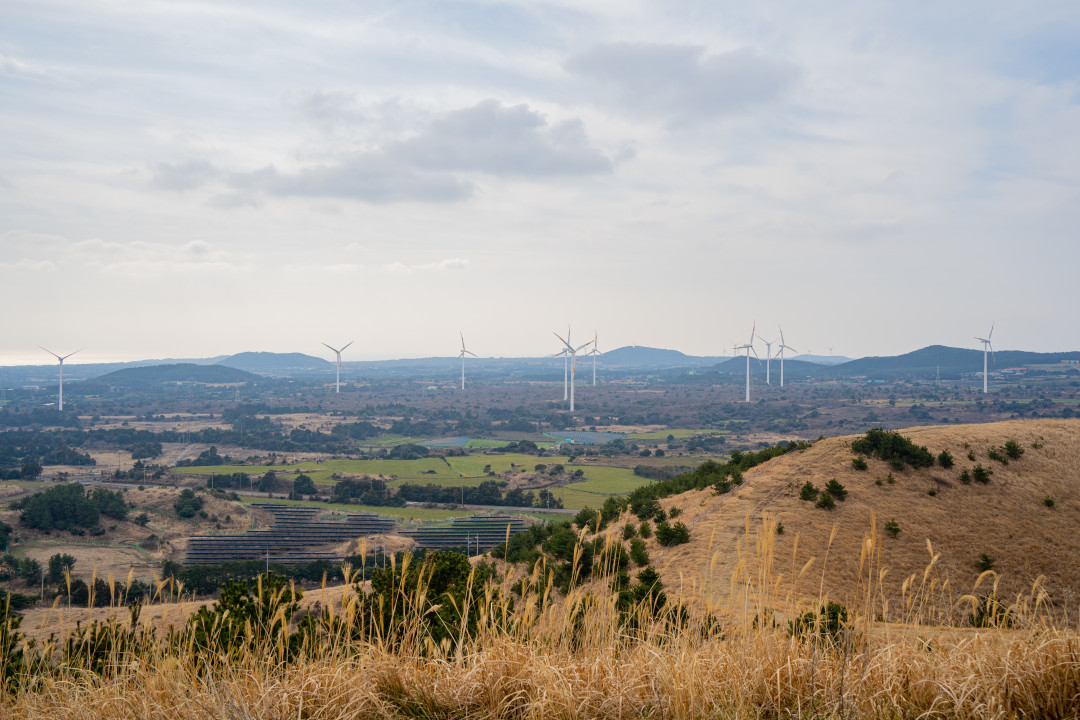 용눈이 오름 정상 풍경