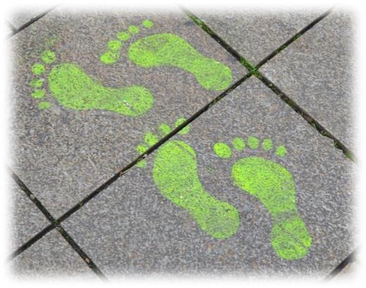 발자국 도장 찍기의 재미