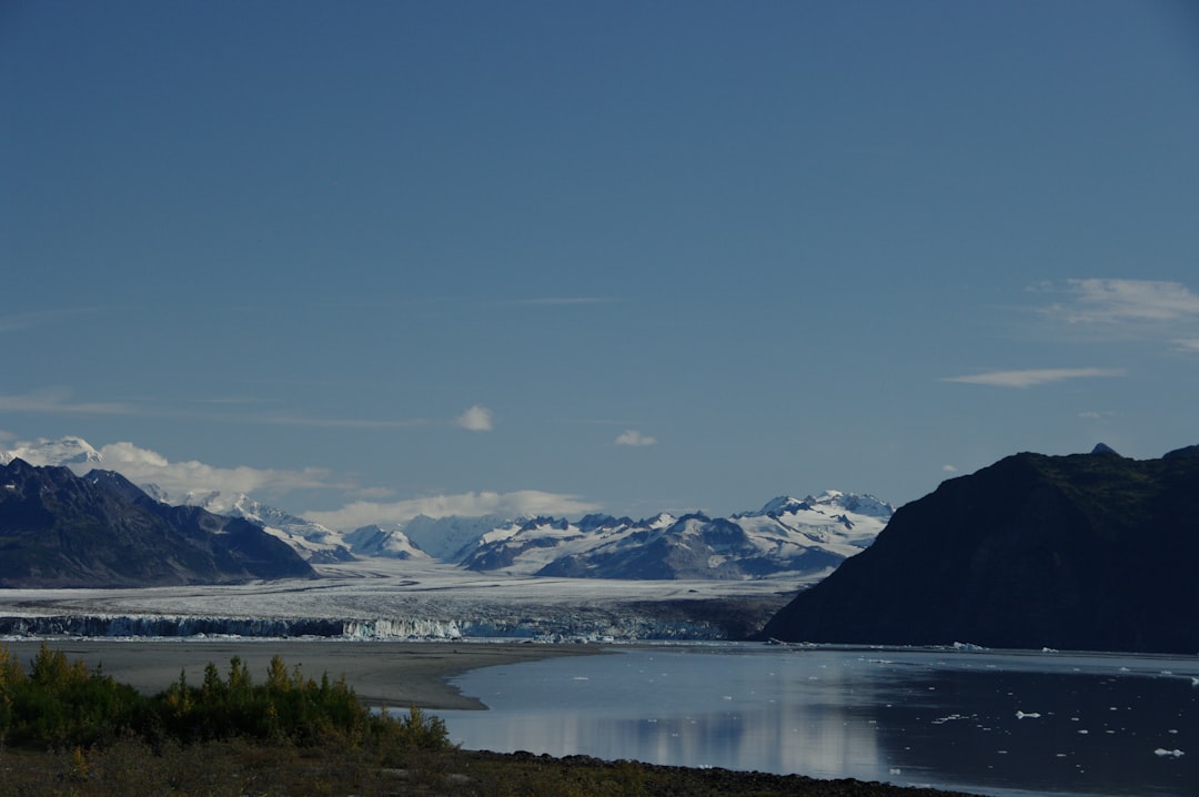 Environment