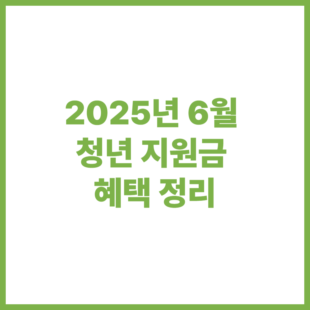 청년 지원금 혜택 정리