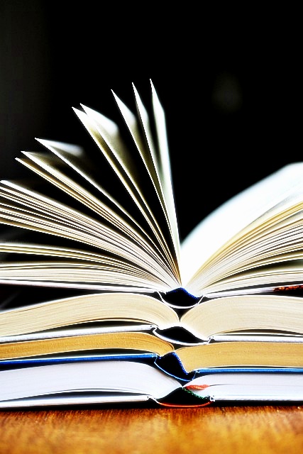 2024년 개정 교육과정 초등 중등 고등 알아보기