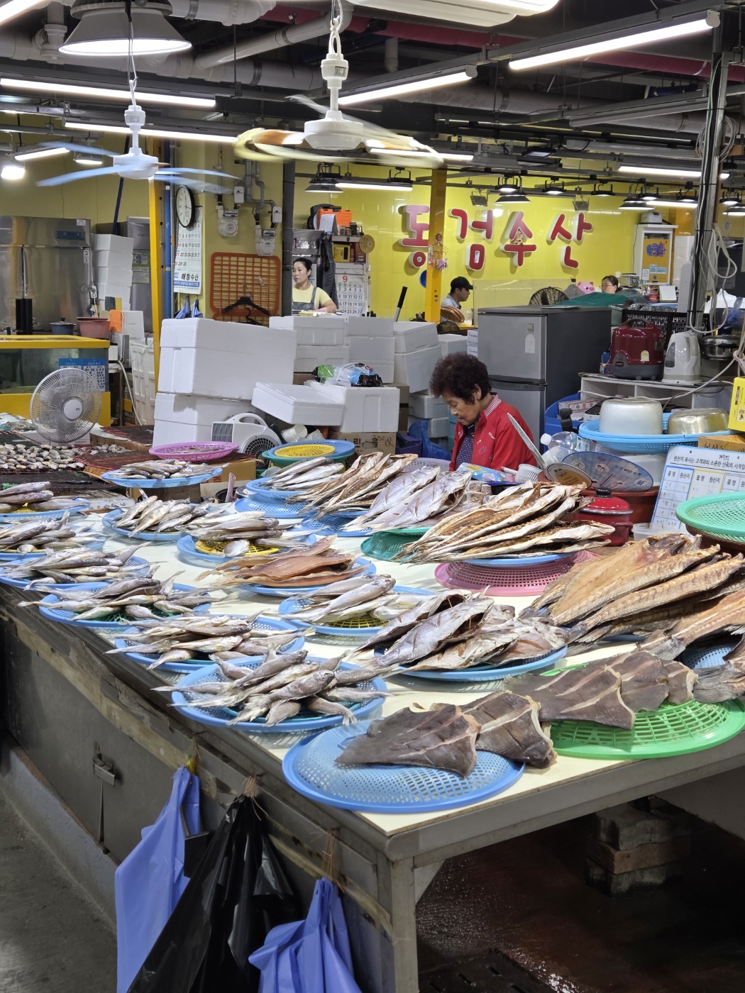 강화도 1박2일 효도여행