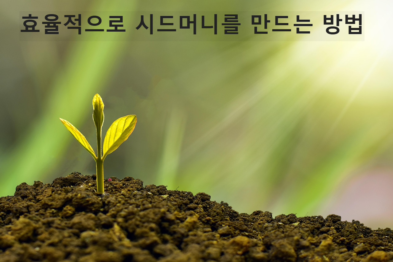 시드머니