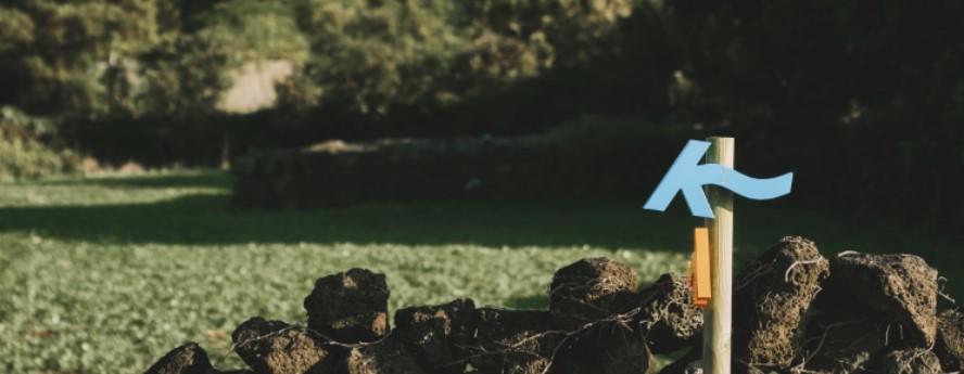 11월 행사 축제 지역행사 지역축제