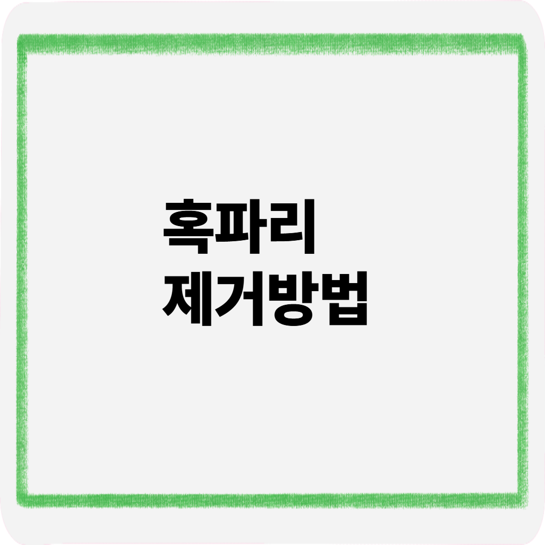 혹파리제거방법