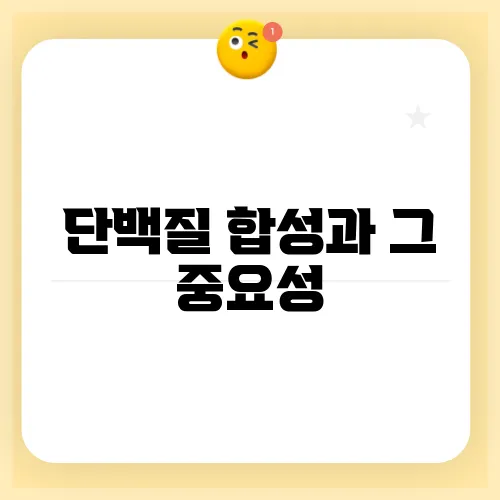 단백질 합성과 그 중요성