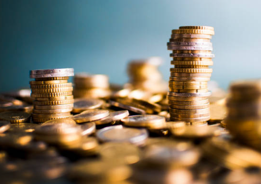 2025년 주목할 알트코인 섹터 TOP 5 – 변곡점에서 기회를 찾다