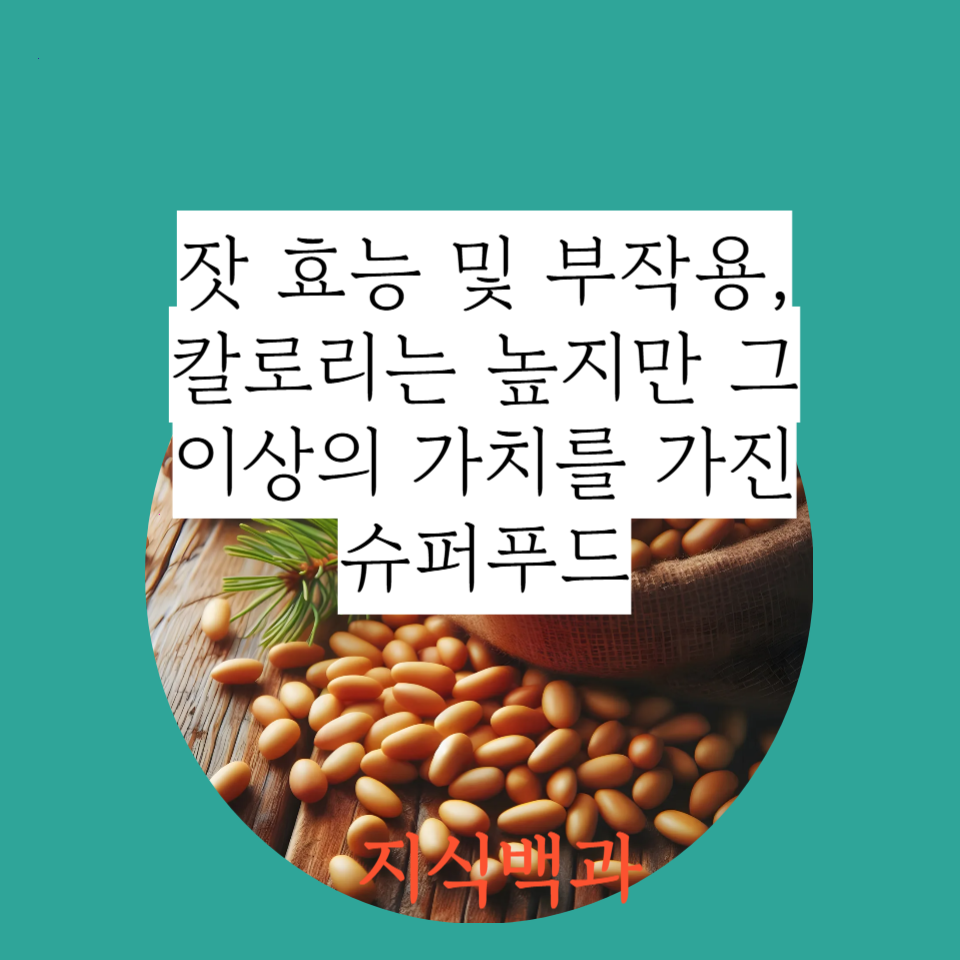 잣 효능 및 부작용, 칼로리는 높지만 그 이상의 가치를 가진 슈퍼푸드