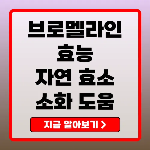 브로멜라인의 주요 효능과 2025년 사용법 가이드