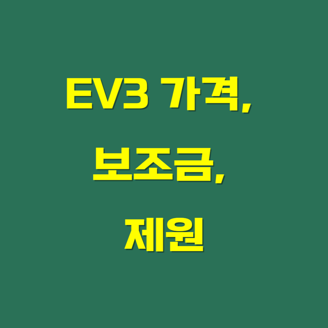 EV3 가격, 보조금, 제원