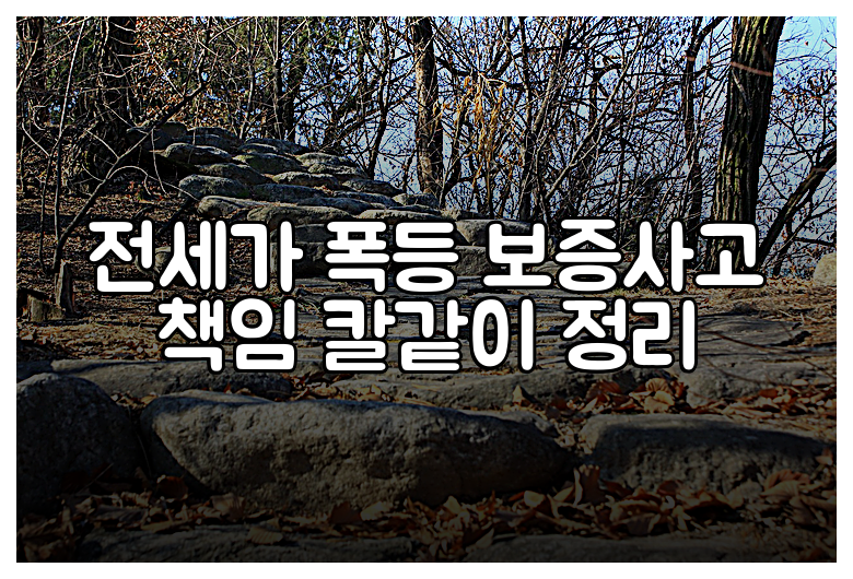 전세가 폭등 보증사고 책임 칼같이 정리