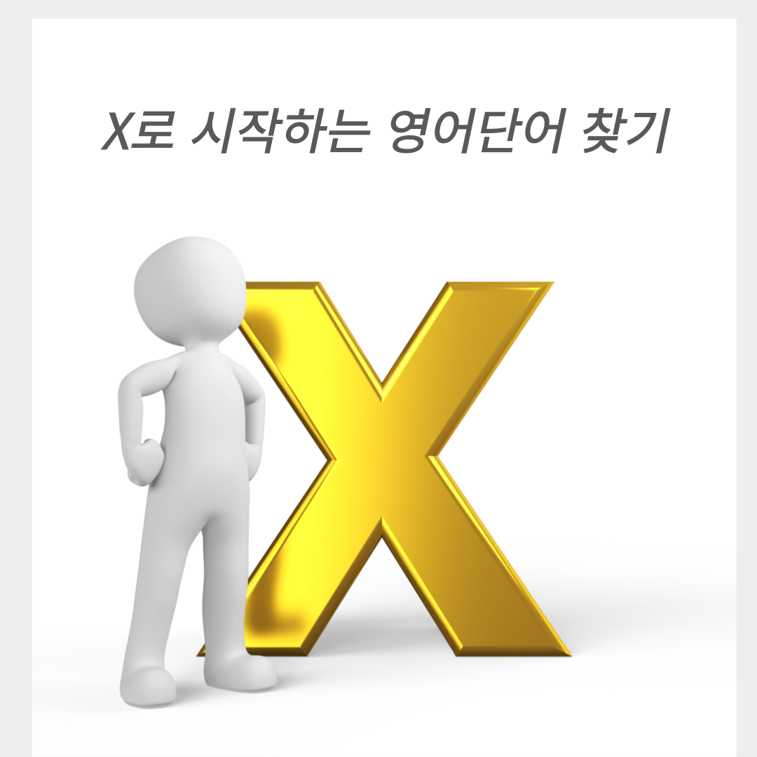 X로 시작하는 영어단어 찾기