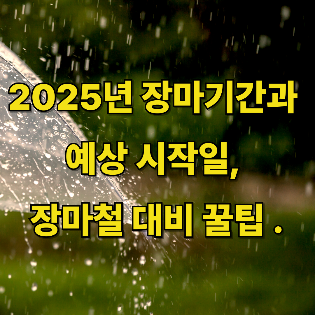 2025 장마기간, 예상시작일, 장마철 대비 꿀팁
