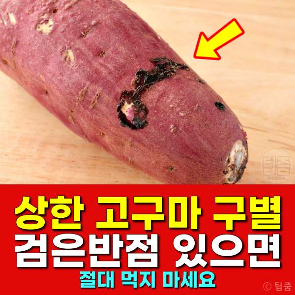 상한 고구마 구별,고구마 검은반점