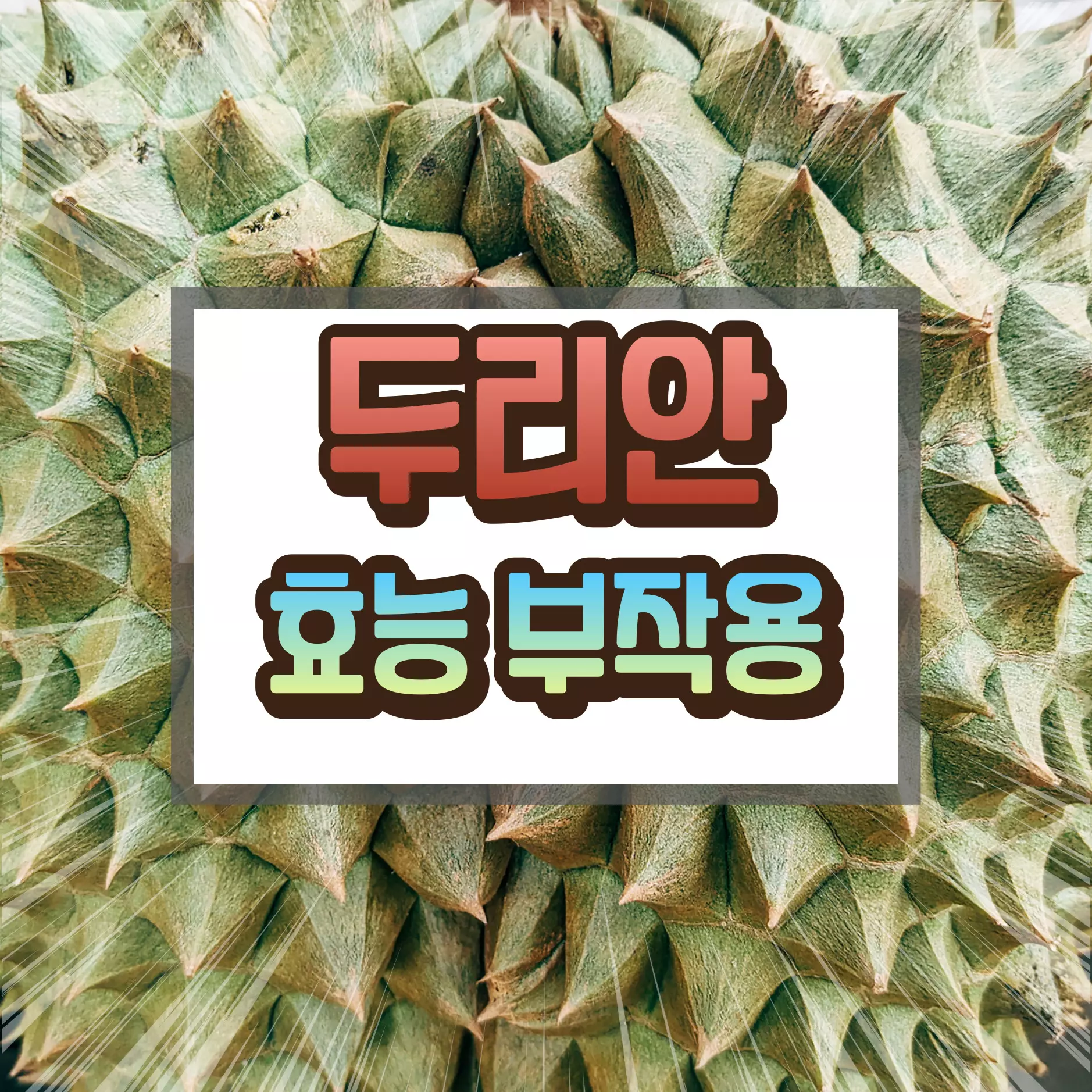 두리안 효능 부작용