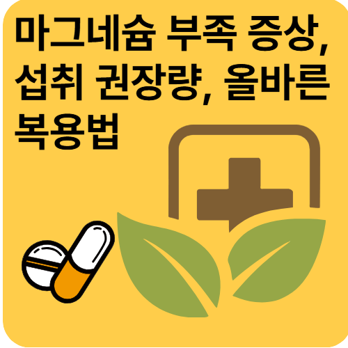 마그네슘 부족 증상과 복용법 총정리