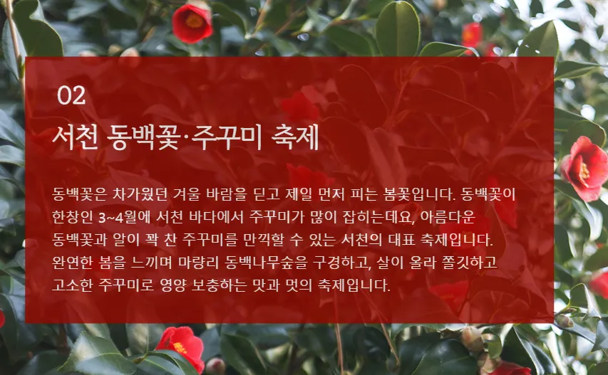 서천-동백꽃-주꾸미-축제