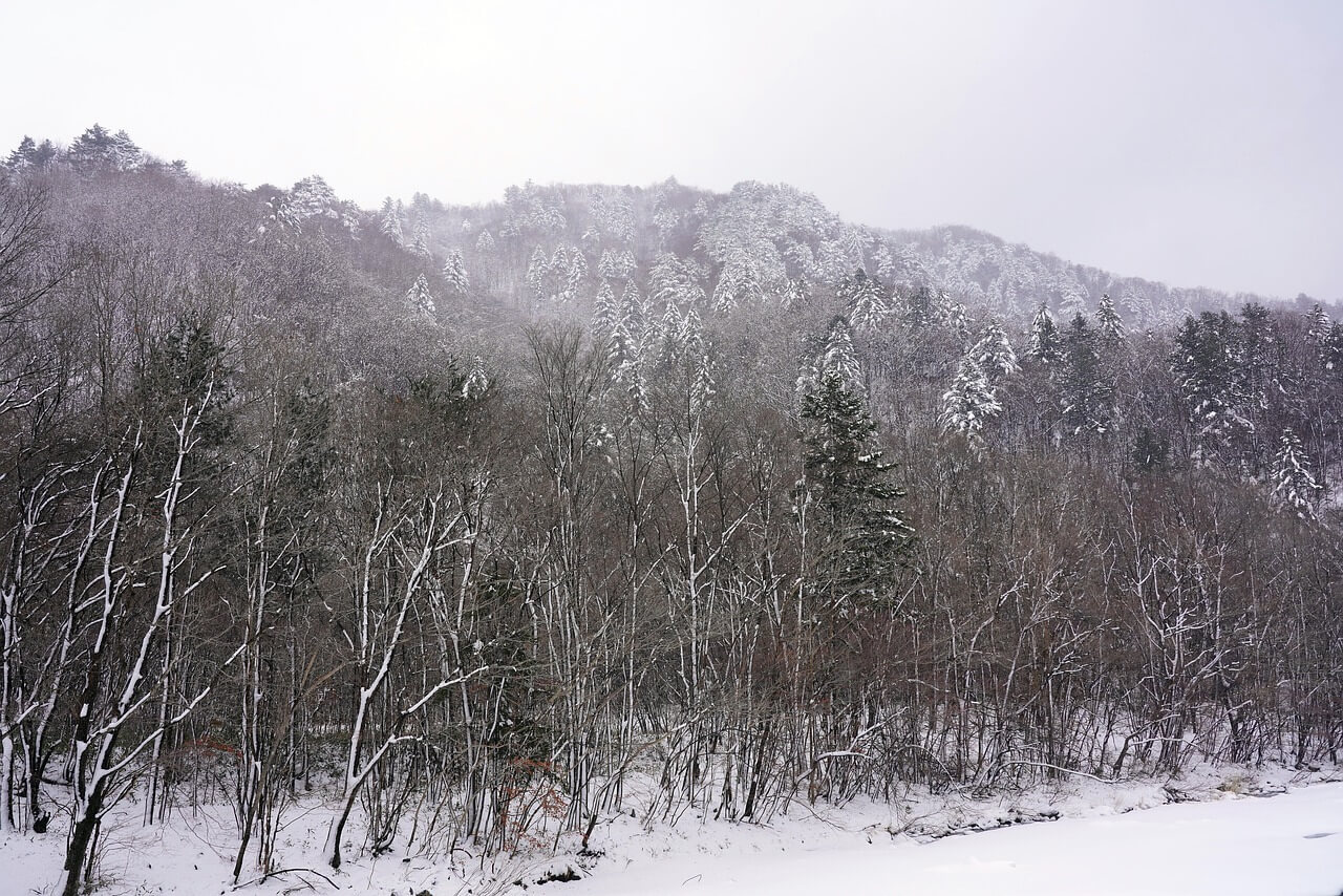 수미마을 양평빙송어축제