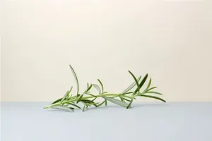 로즈마리