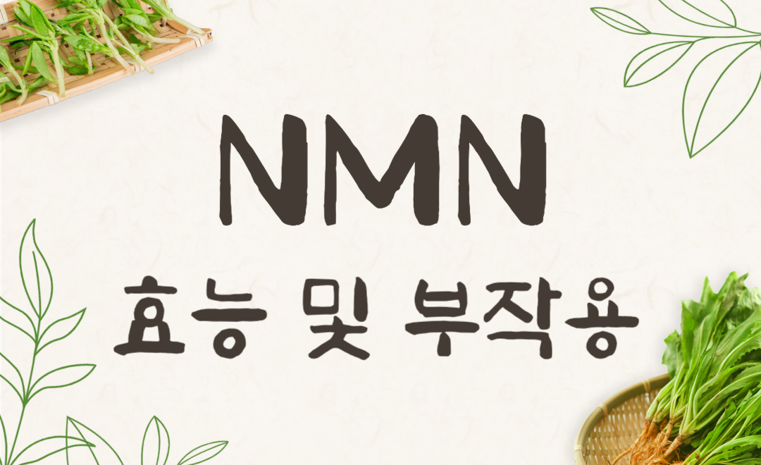NMN 영양제 후기