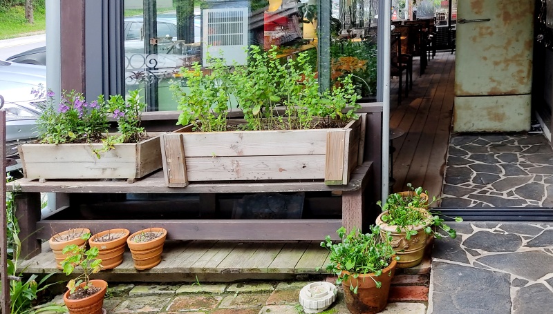 카페 외부에 투박한 화분