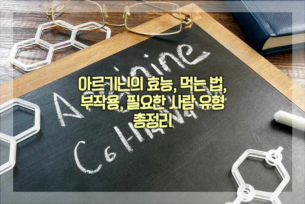 아르기닌의 효능 먹는법 부작용 필요한 사람