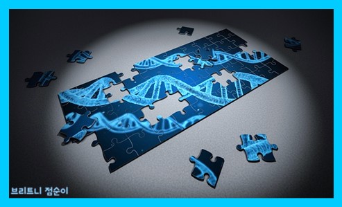 면역력이란 사진