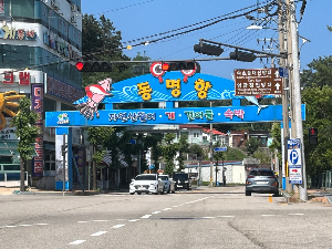 속초 가볼만한곳 동명항