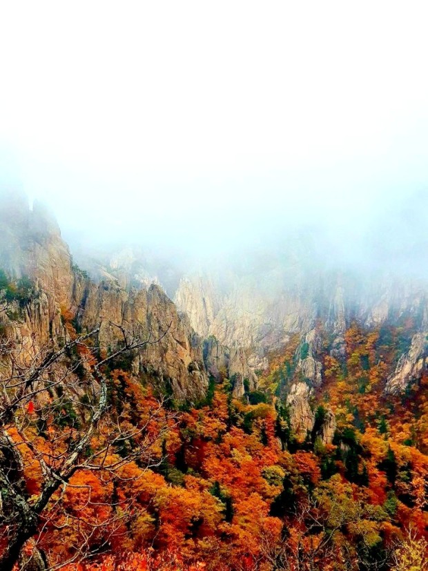 설악산 단풍