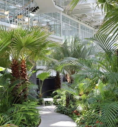 식물이 가득한 카페 내부의 모습을 찍은 사진