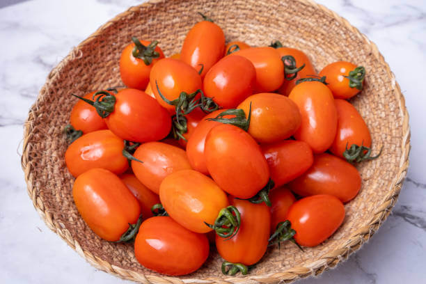 스테비아 방울토마토 효능과 부작용, 일반토마토랑 뭐가 다른 건지 차이점을 알아봤습니다. 그리고 방울토마토를 먹고 구토 증상이 있었는데 어떤 부작용이길래 구토까지 발생하는지 참고하시기 바랍니다.