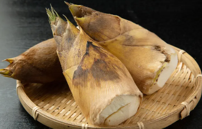 bambooshoot