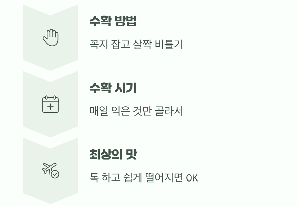 완벽한 수확을 위한 작은 팁