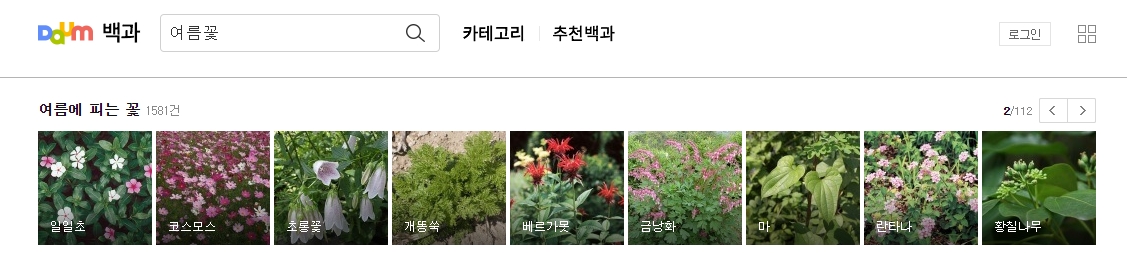 여름에도 피는 코스모스 정보