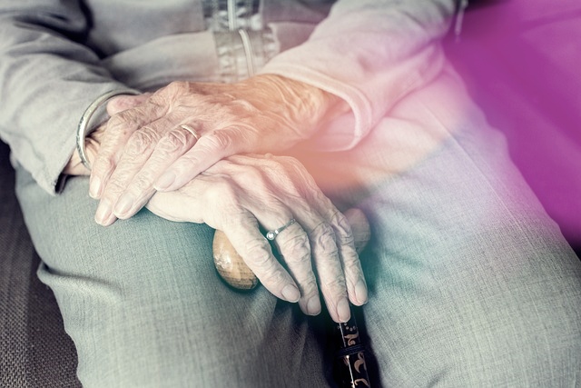 65세이상-교통비-혜택