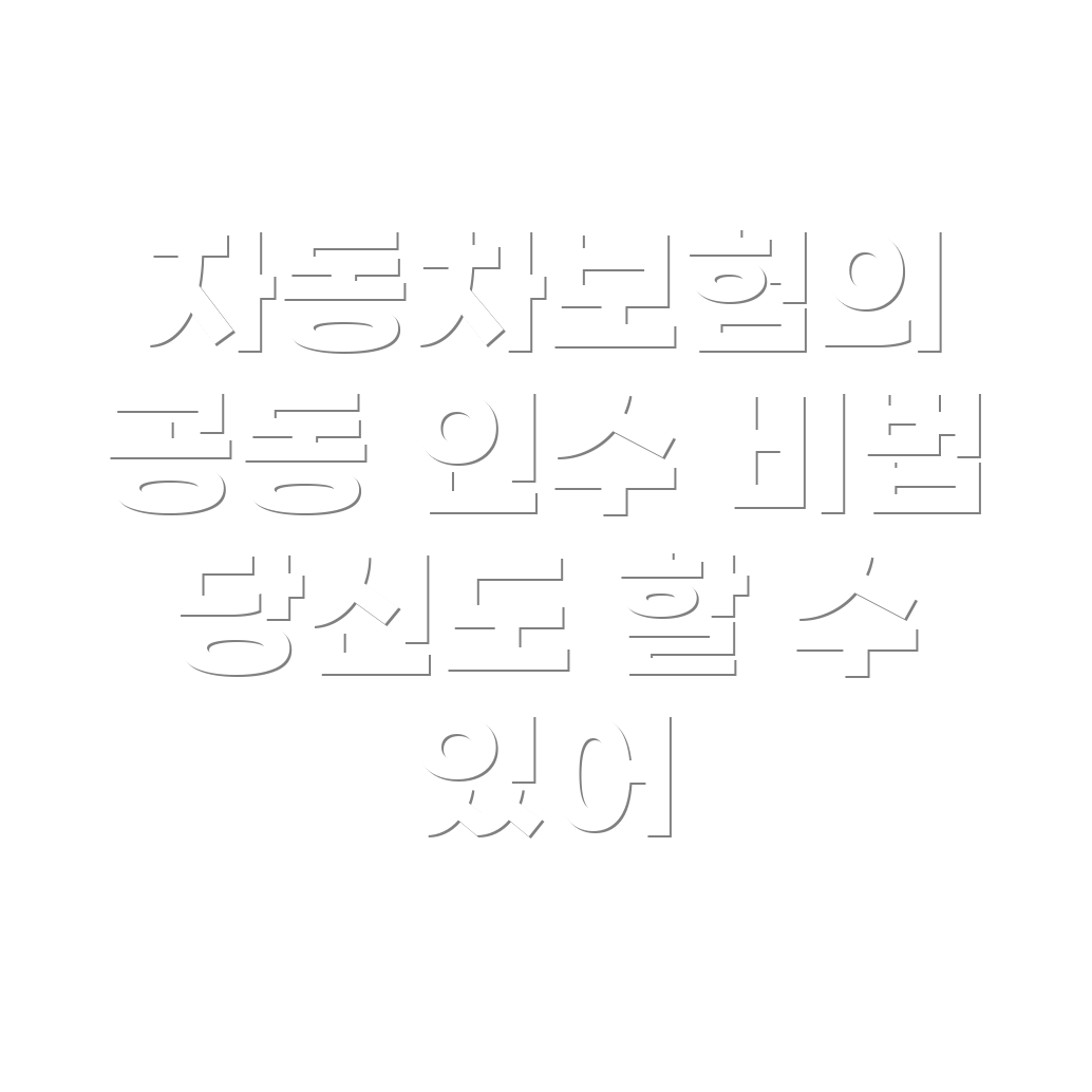 자동차보험 공동 인수