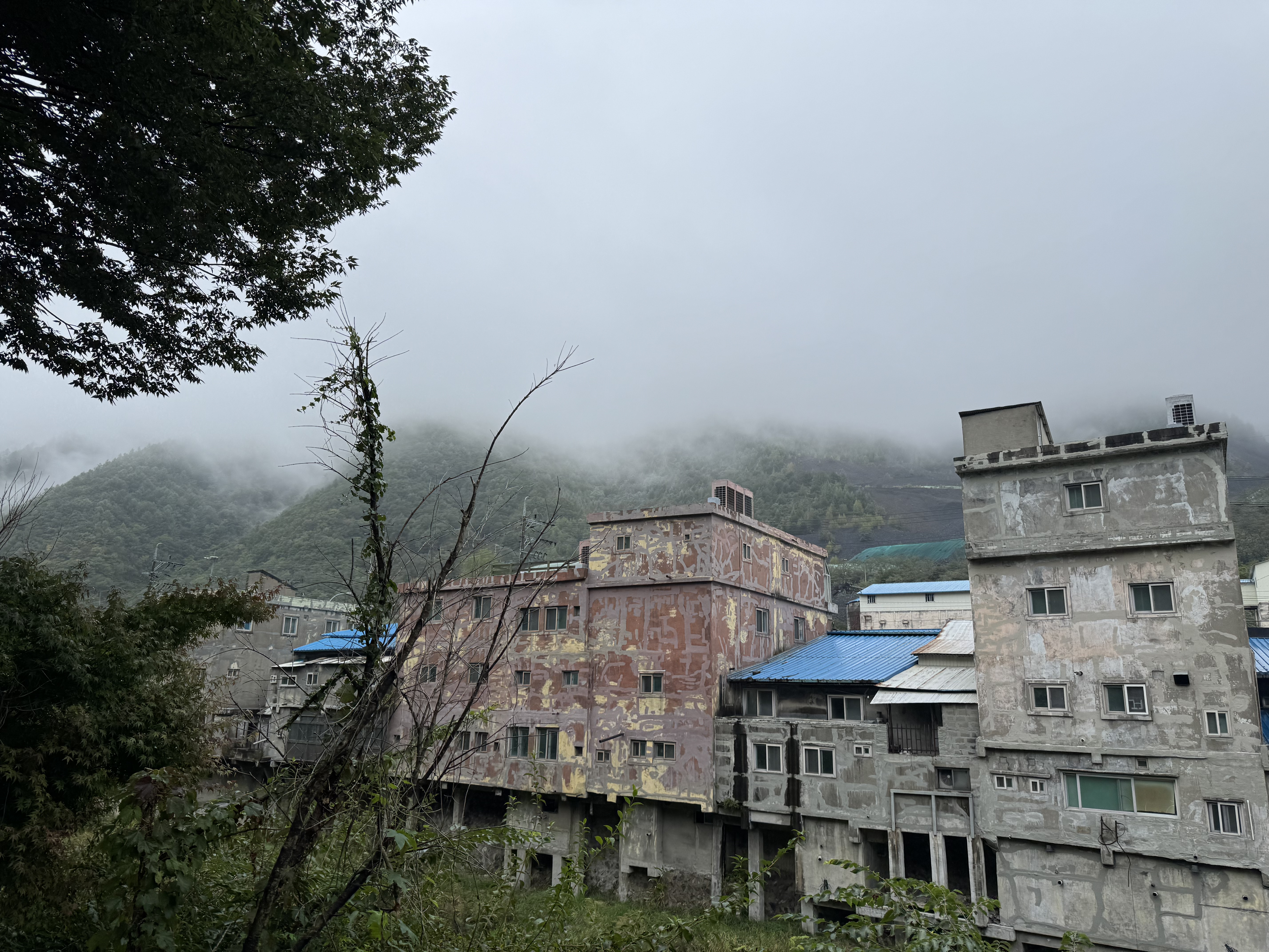 태백 여행 코스 정리&amp;#44; 협곡열차&middot;산타마을&middot;탄광&middot;용연동굴까지