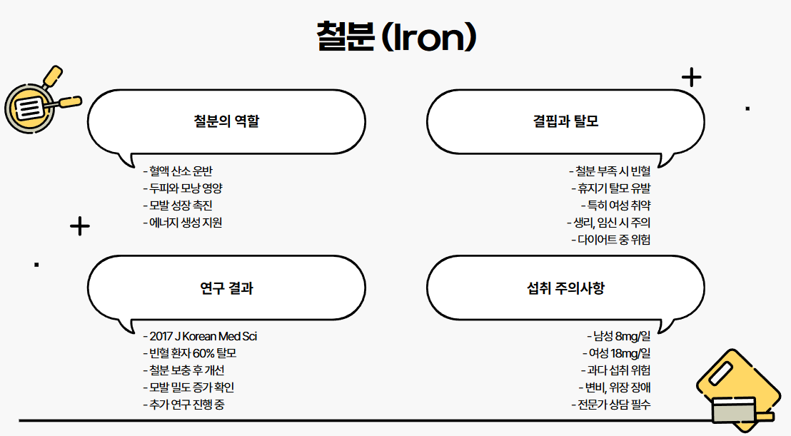 철분 (Iron)