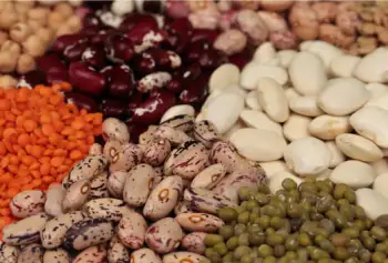 글루타치온이 많이 들어있는 음식 BEST 10