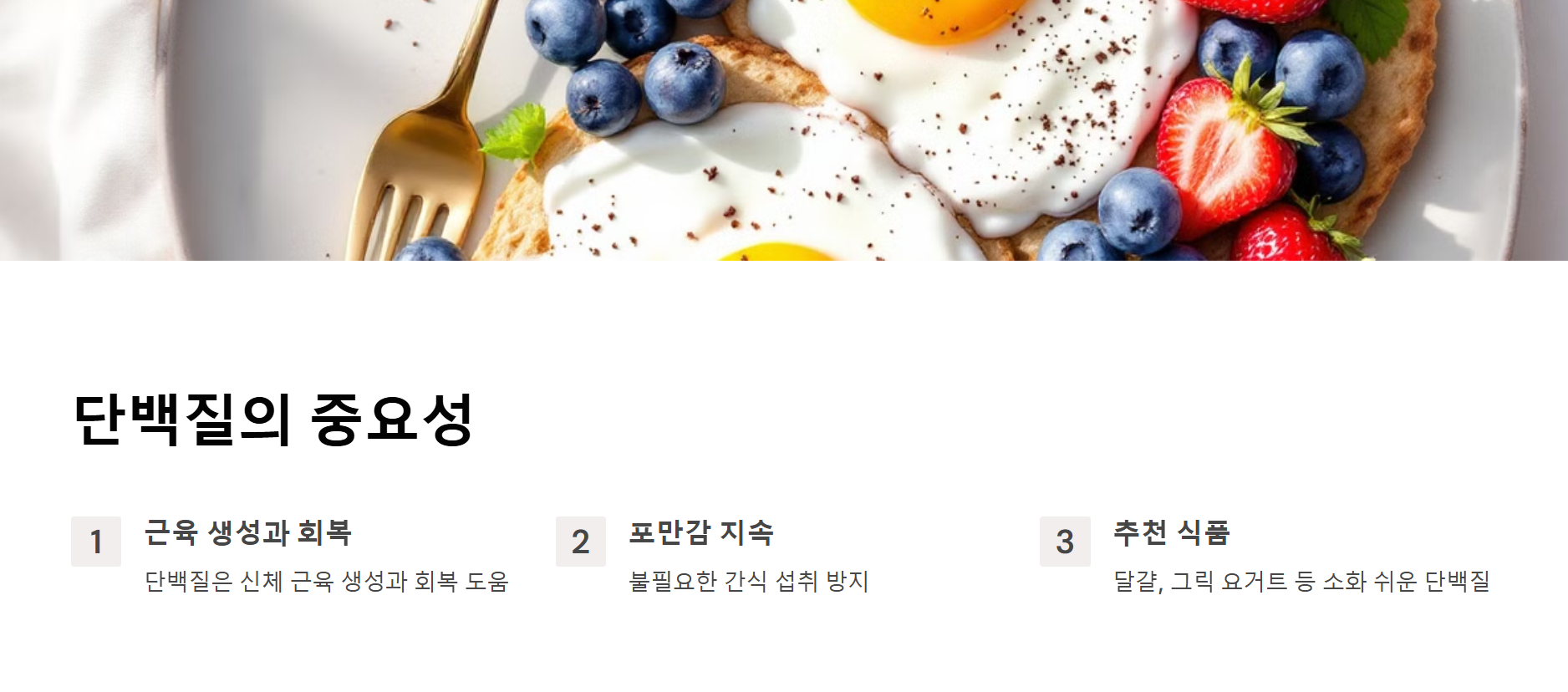 활기찬 하루를 여는 단백질의 중요성