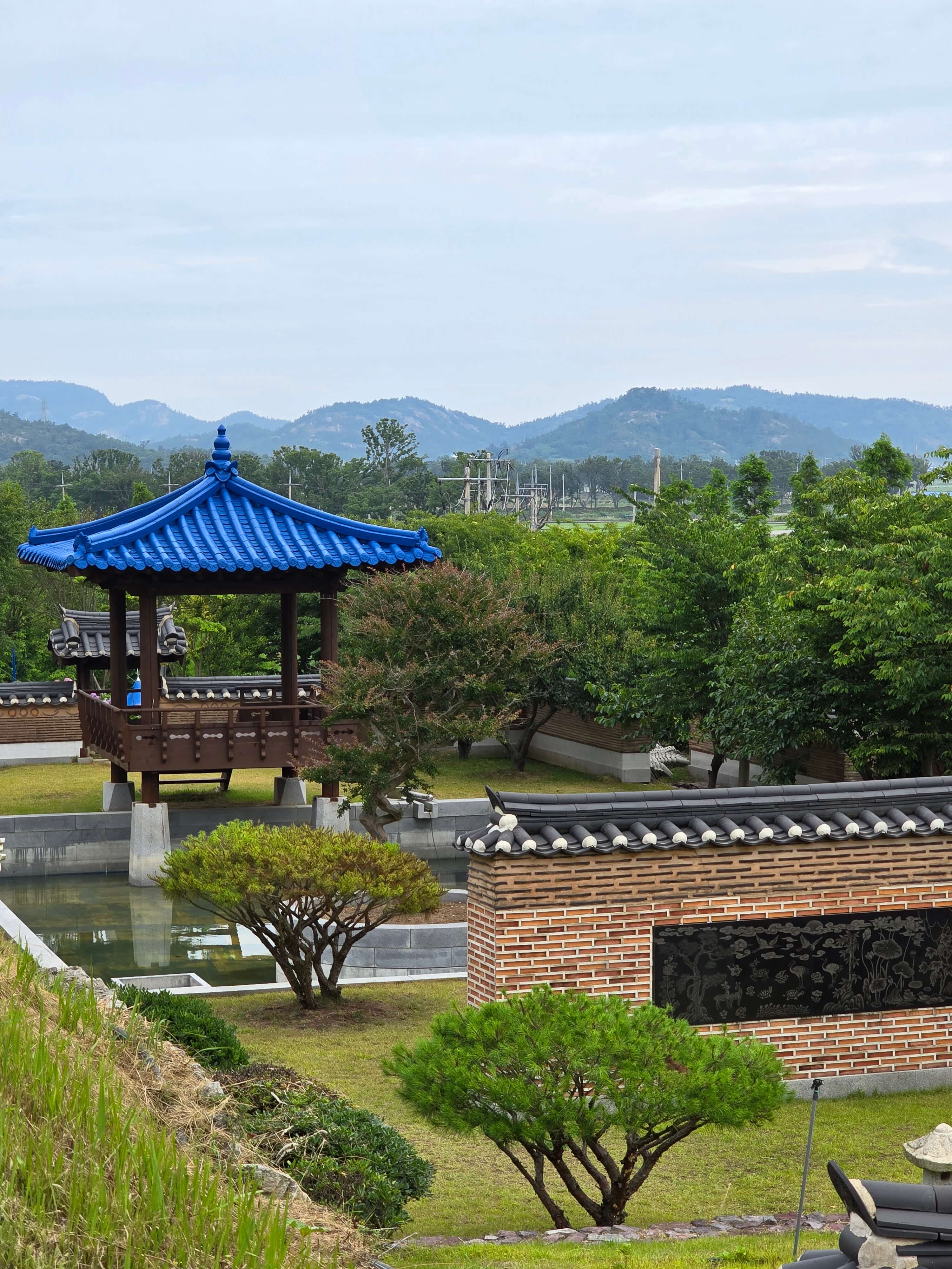 신안섬수국축제
