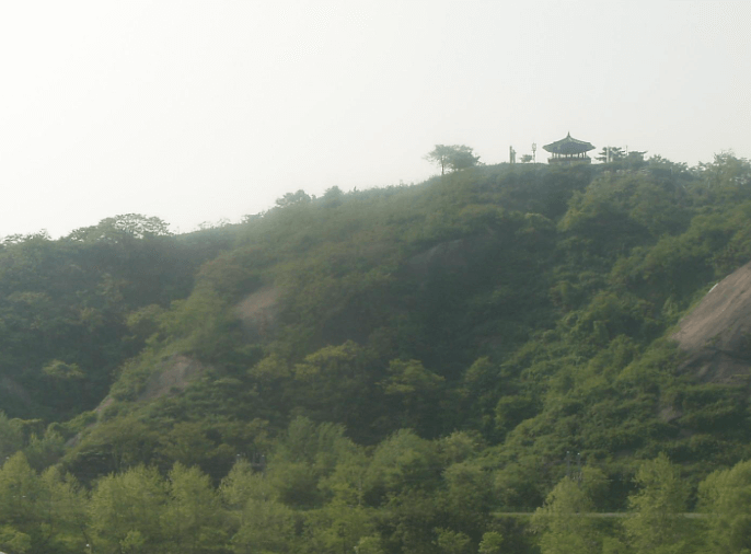 서울 숲 남산길