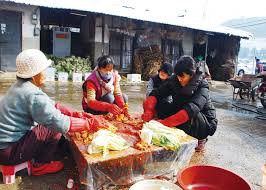 절임배추 20kg가격
