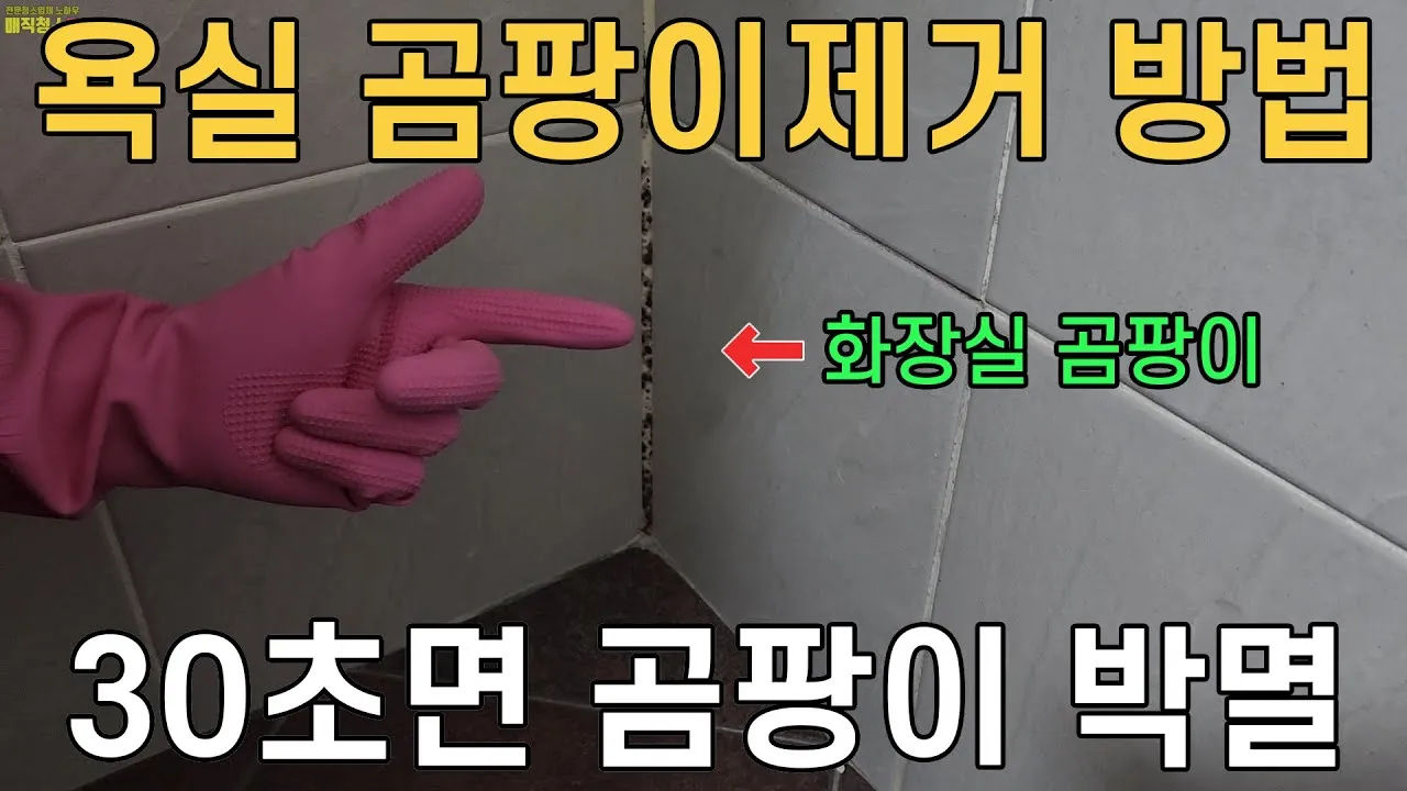곰팡이 제거 방법 방지 페인트 냄새 없애기_3