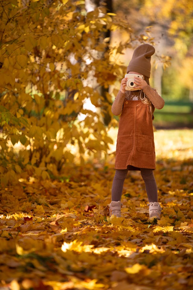 단풍 드라이브 코스 추천|가을 절정, 차창 밖에서 즐기는 붉은 길