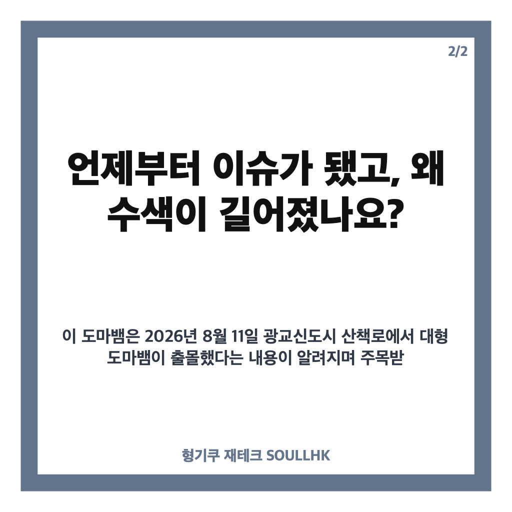 광교 나일왕도마뱀 포획, 광교 산책로서 수색 11일 만에 발견 카드뉴스 3