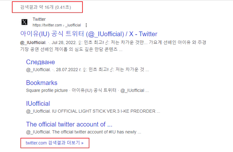 구글 검색 결과 트위터