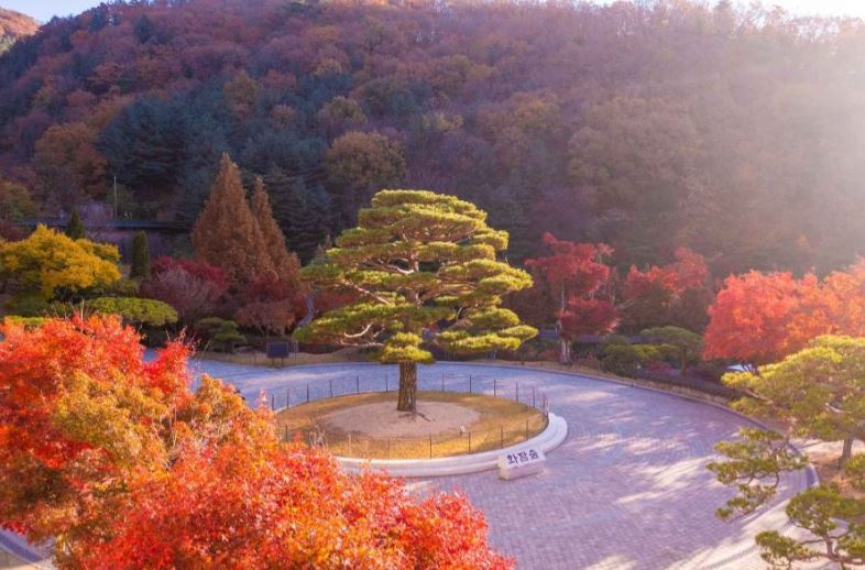 2025년부터 화담숲 예약하기