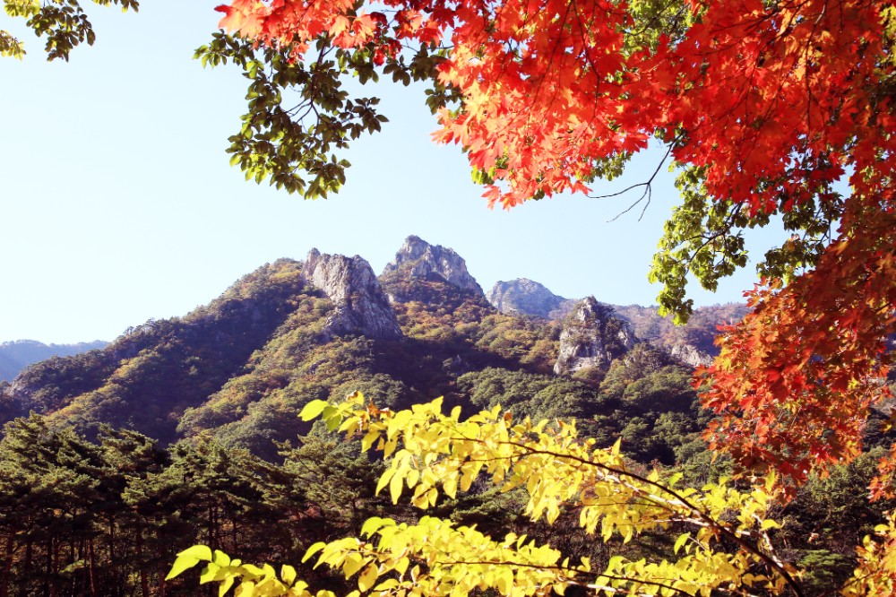 가을 여행지 추천