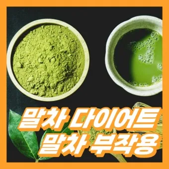 말차와 녹차의 차이점 효능 맛 비교 총정리_22